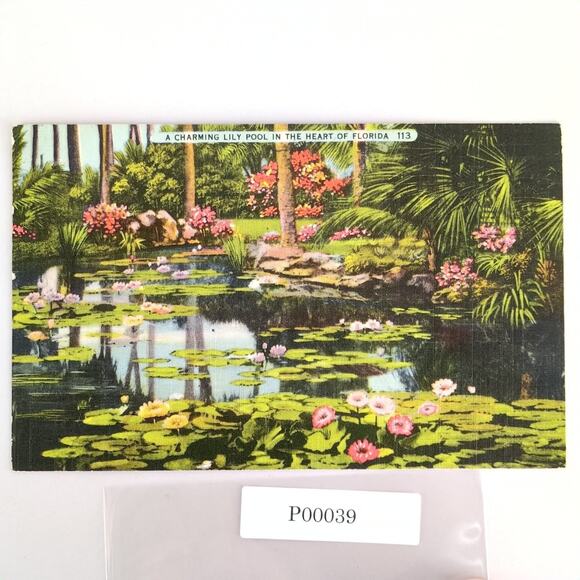 Vintage 1949 Linen Postcard Charming Lily Pool in Heart of Florida Gardens Miami - Picture 1 of 2